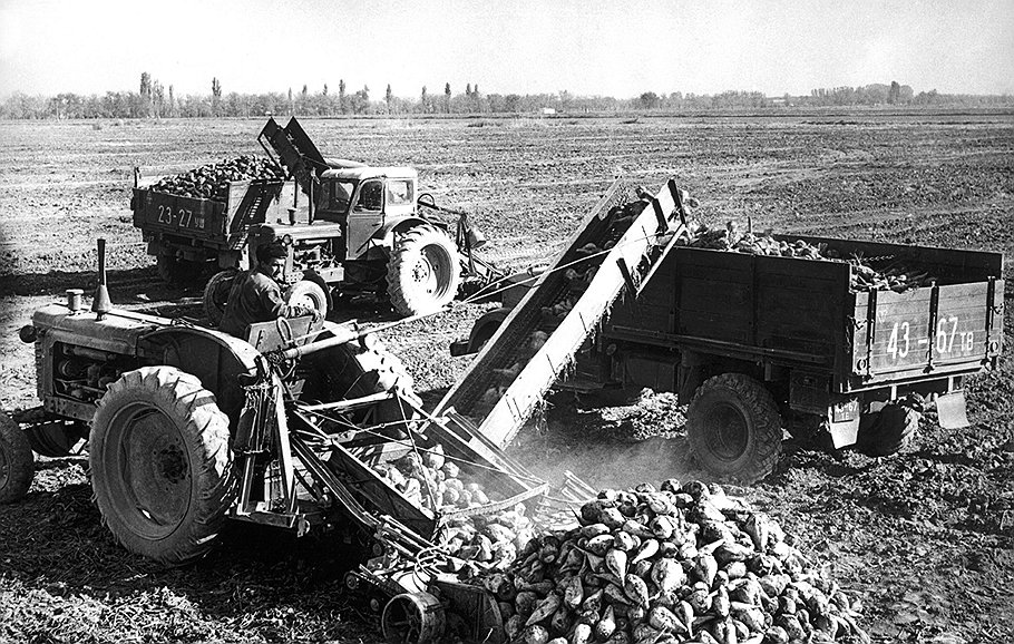Верховный суд СССР установил, что для самогоноварения используется не сахар со складов, а урожай с колхозных полей 
