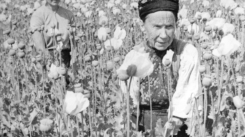 МВД СССР предлагало заменить посевы киргизского опийного мака украинским масличным 
