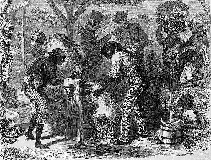 В 1840-1860-х годах экономика Юга быстро росла: главным образом за счет экспорта хлопка, выращенного и обработанного руками черных рабов 

