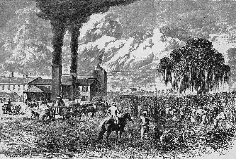 Сахар, производившийся на Глубоком Юге, был горек от слез рабов на плантациях и фабриках 
