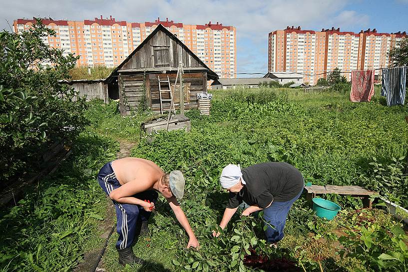 Если новый закон будет принят, то загородный огород может стать городским палисадником