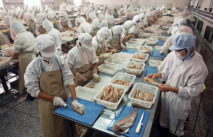 Рыбоперерабатывающие заводы в Китае бывают размером со средний российский город