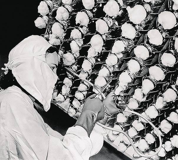 Так выглядело производство пенициллина в 1944 году. Фармацевты высаживали в стерильную питательную среду культуру плесневого грибка penicillium notatum, через десять дней собирали урожай, а затем превращали активное антибактериальное вещество в порошок 