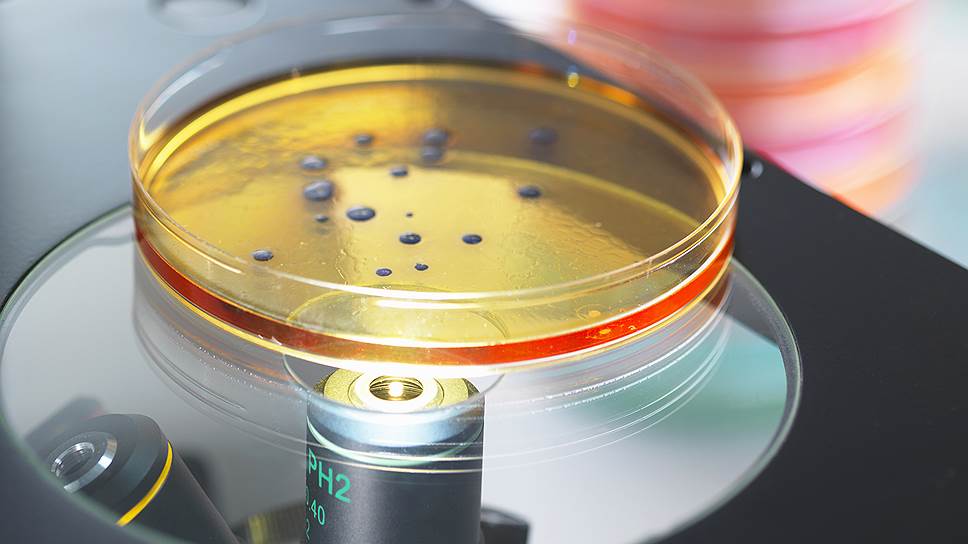 Проверить каждый из тысяч видов микробов на устойчивость к каждому антибиотику практически невозможно 
