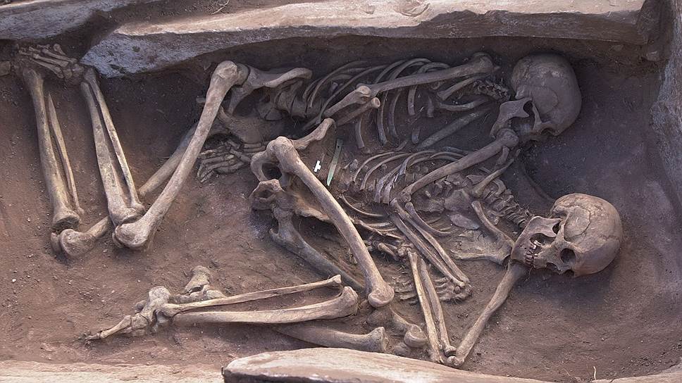 Раннее парное скифское захоронение VIII века до н. э., Тува 
