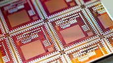 Заплатка для мозга