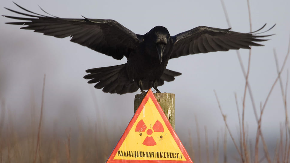 Авария под Северодвинском — повод действовать