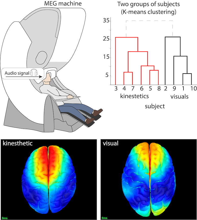 Установка, регистрирующая активность мозга во время представления движения при визуальном и кинестетическом воображении