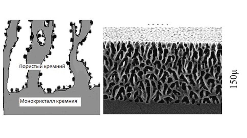 Схематичное изображение пористого кремния и его изображение с растрового электронного микроскопа 
 