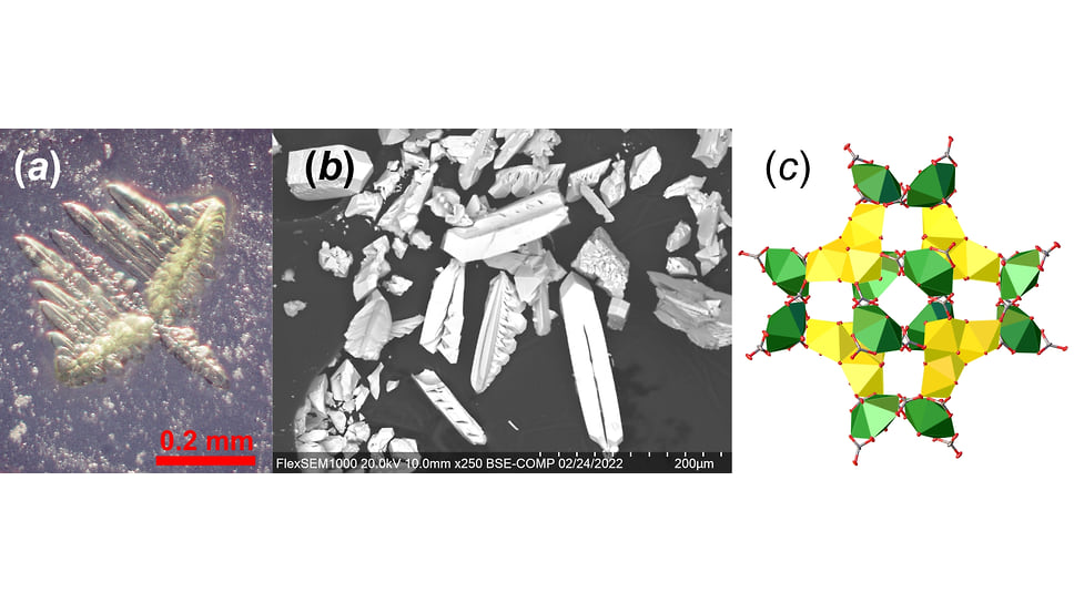 Дендритный агрегат синтетического юингитоподобного соединения (СЮ), окруженный мелкокристаллическим порошком кальцита (a); СЭМ-изображение кристаллов СЮ (b) и строение уран-карбонатнного нанокластера (c)