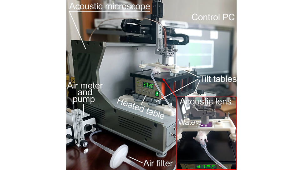 Экспериментальная установка. Акустический микроскоп для in vivo исследований