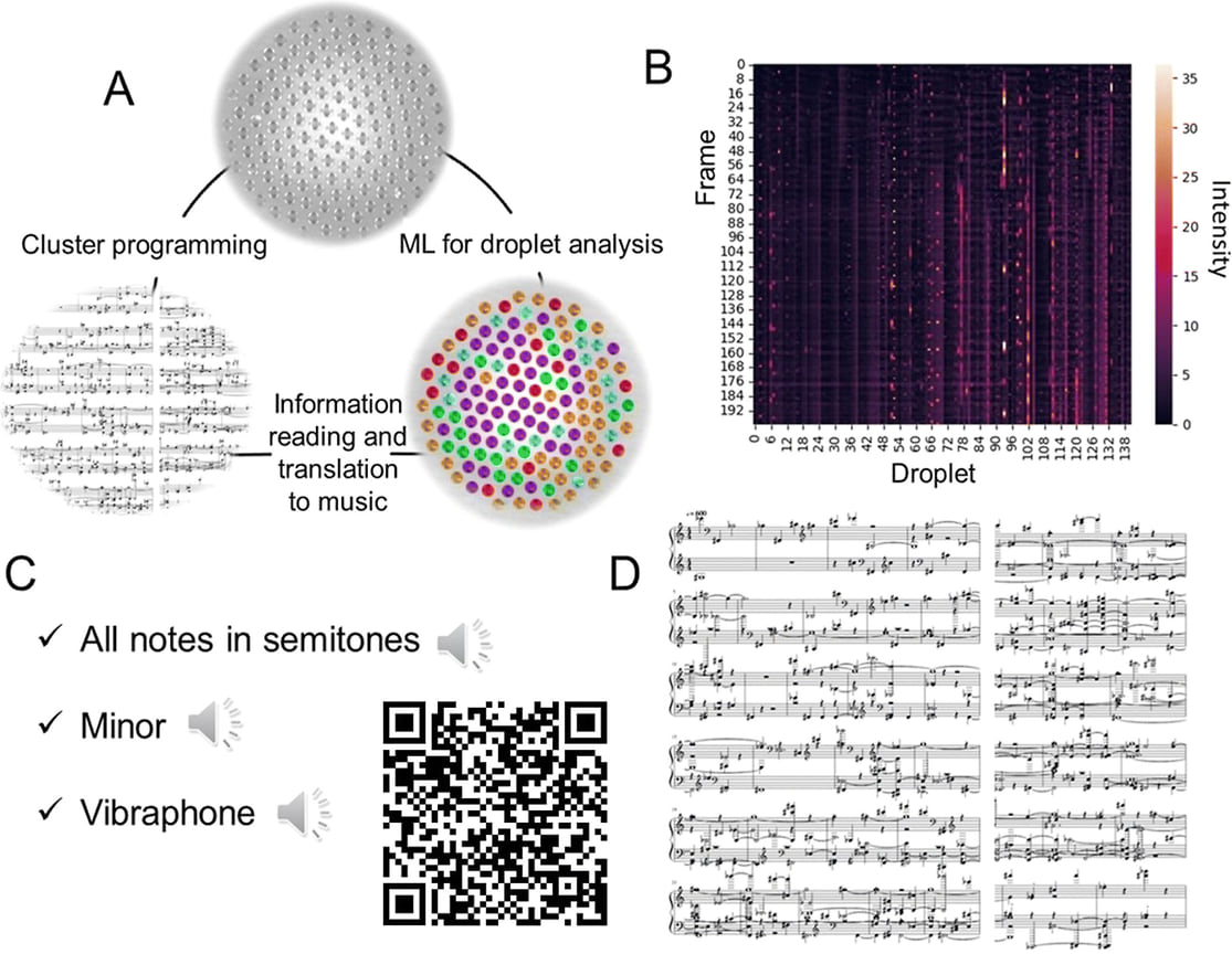 Трансляция под музыку информации капельного кластерного анализа. (A) Схема перехода информации от исходного кластерного изображения с помощью машинного обучения (ML) анализа изменения яркости во времени и путем преобразования информации в музыку. (B) Пример графика зависимости количества кадров от количества капель нормализованной интенсивности свечения капель и (C) музыкальных нот, созданных на основе данных в (B). (D) Кластер. Обратите внимание, что в зависимости от типа кластера могут быть предложены разные музыкальные ноты. Загрузите и прослушайте соответствующую музыку с ESI или с помощью предоставленного QR-кода.