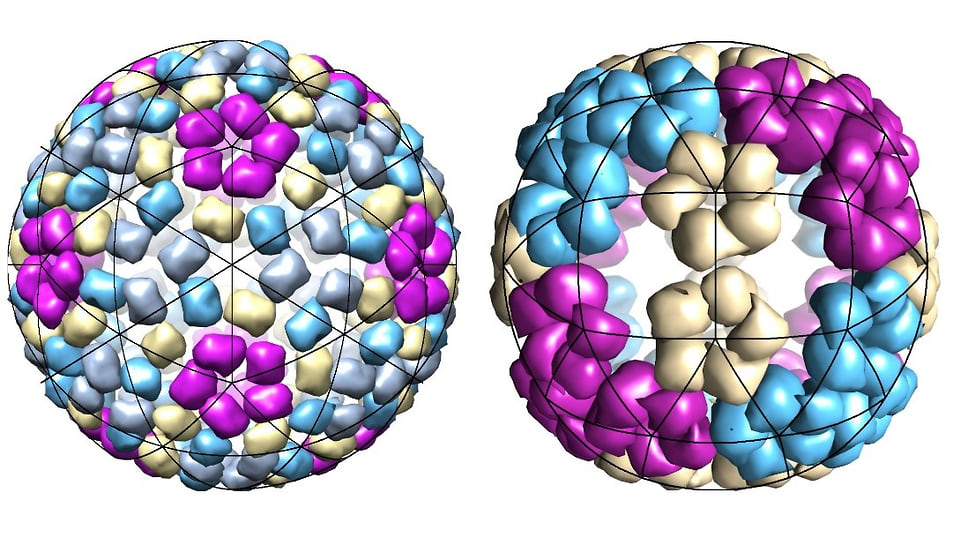 Слева — разбиение обычной вирусной оболочки на 80 примерно одинаковых треугольных ячеек. Справа — наноконтейнер, разбитый на квадратные и треугольные элементы
