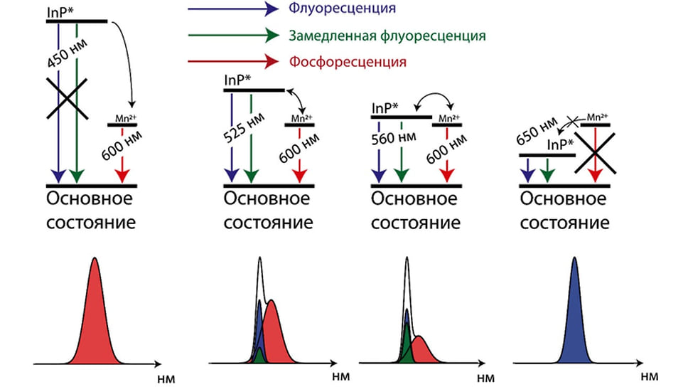 Рисунок 1. Фотолюминесцентные свойства коллоидных квантовых точек InP:Mn