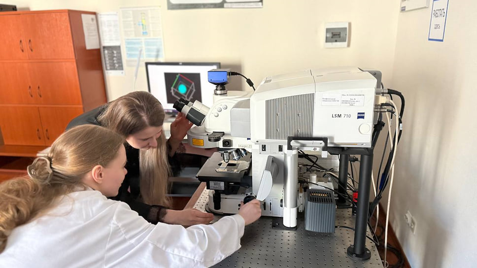 Измерения на лазерном сканирующем конфокальном микроскопе Zeiss LSM 710