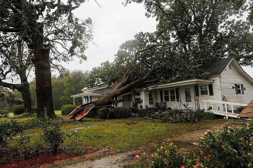 Поваленные деревья повредили сотни домов и автомобилей