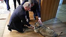 Президент Сербии подарил Владимиру Путину собаку