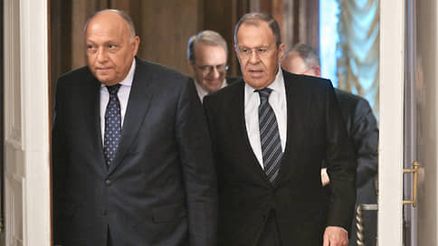 Сергей Лавров получил от главы МИД Египта послание Энтони Блинкена с призывом прекратить и уйти