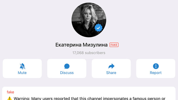РКН потребовал от Telegram ограничить доступ к фейковому каналу Мизулиной