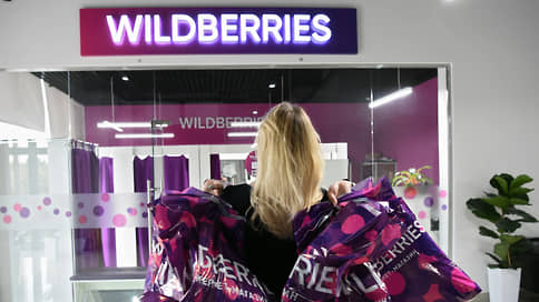Wildberries запустит свой бренд электроники и бытовой техники