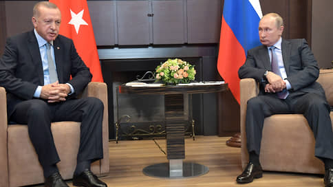 Эрдоган обсудил с Путиным возможность переработки российского зерна в муку для нуждающихся стран