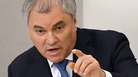 Володин анонсировал введение уголовной ответственности за призывы к исполнению решений МУС
