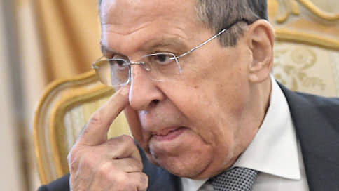 Лавров ожидает мирную миссию стран Африки в июне-июле