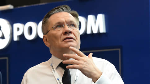 Глава Росатома Лихачев: дроны пытаются атаковать российские атомные станции все чаще
