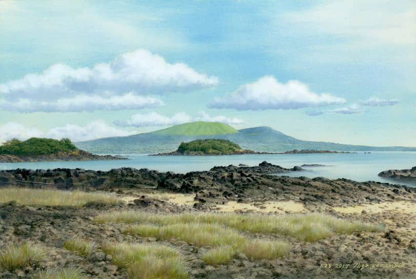 Музей в честь Нидзо Ямамото