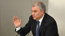 Володин: России пора сказать «до свидания» парламентской ассамблее ОБСЕ