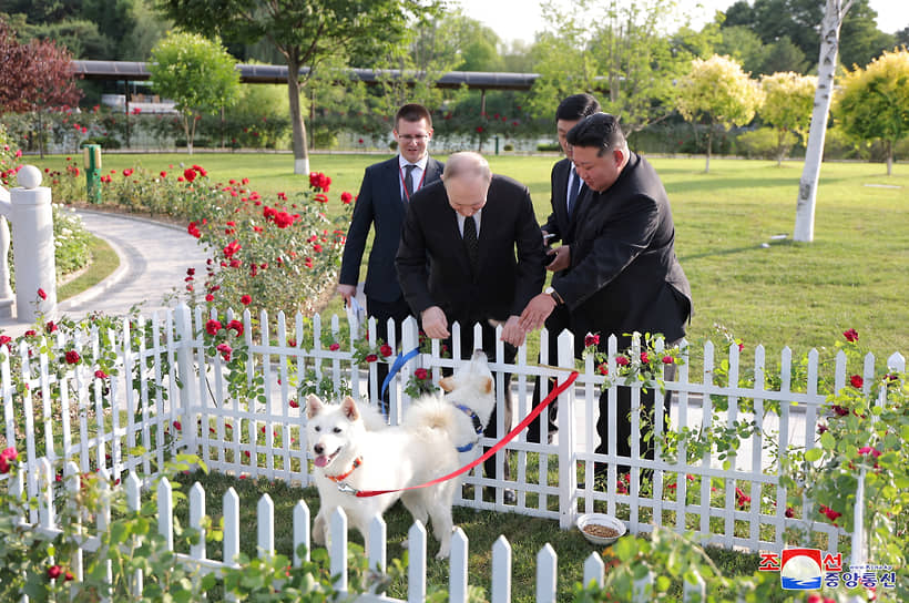 Ким Чен Ын (справа) дарит Владимиру Путину двух собак