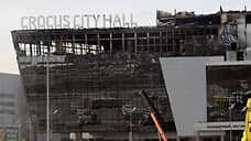 Часть сгоревшего при теракте «Крокуса» передадут под выставочные площади