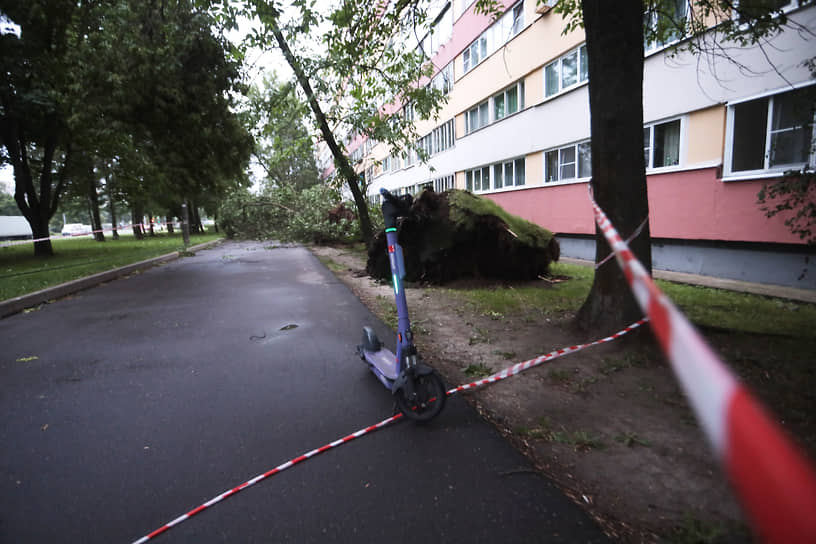 Последствия урагана в Санкт-Петербурге