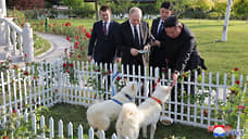 Песков пообещал раскрыть клички собак, подаренных Путину лидером КНДР