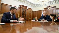 Путин обсудил с Пушилиным социально-экономическое развитие ДНР