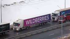 Wildberries выявила тысячи нарушений на складах на 324,5 млн рублей