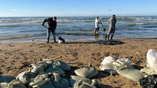 На трех участках пляжей в Анапе найдены новые выбросы мазута
