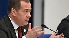 Медведев назвал ордера МУС «вершиной бессмыслицы»