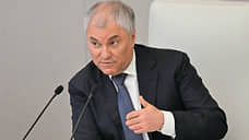 ГД приоритетно рассмотрит законопроект об ответственности для дропперов