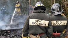 В России за сутки потушили 43 лесных пожара
