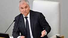 Володин перечислил положения проекта о передаче МВД данных детей мигрантов