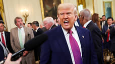 WSJ: Трамп пообещал Нетаньяху не препятствовать ударам по Ирану