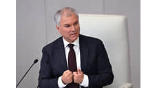 Володин: введение налога на бездетность — это «не наш путь»