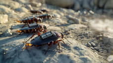 Немецкий оборонный стартап разрабатывает тараканов-киборгов