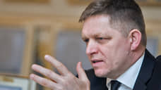 Владимир Путин встретится с премьером Словакии Робертом Фицо