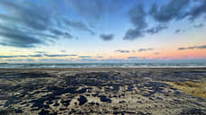 На пляжах Анапы вновь появились сгустки мазута