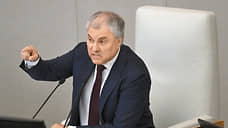 Володин: нелегальных мигрантов могут выдворить из России