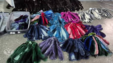 Иностранки пытались вывезти в Китай больше тысячи шкур российской шиншиллы