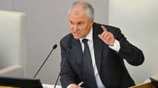 Володин: Госдума постарается учесть пожелания бизнеса по проекту бюджета