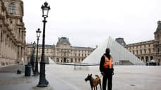 Во Франции задержаны двое подозреваемых в дерзком ограблении Лувра